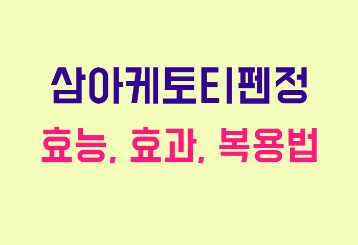 삼아케토티펜정