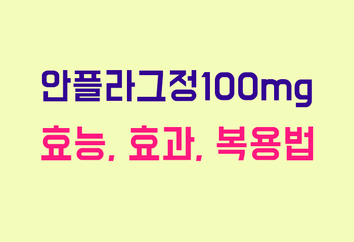 안플라그정100mg
