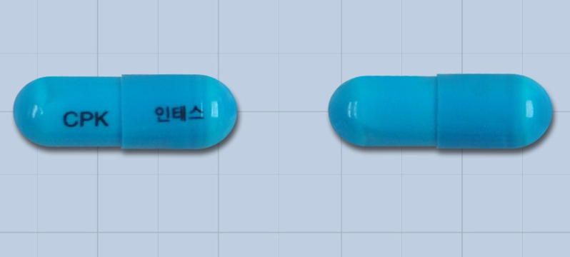 인테스캡슐200mg 약