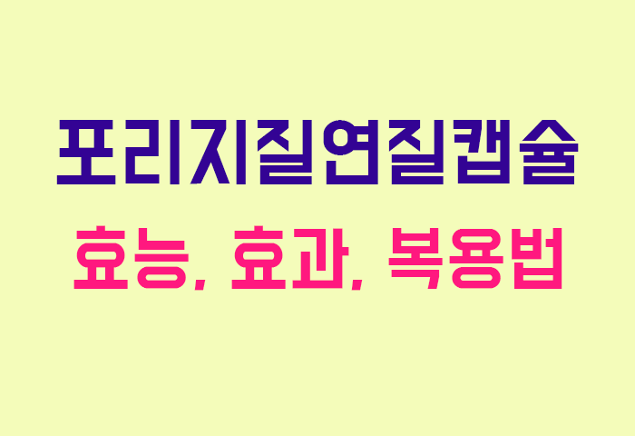 포리지질연질캡슐