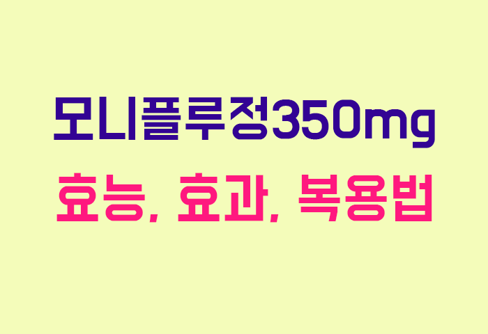 모니플루정350mg