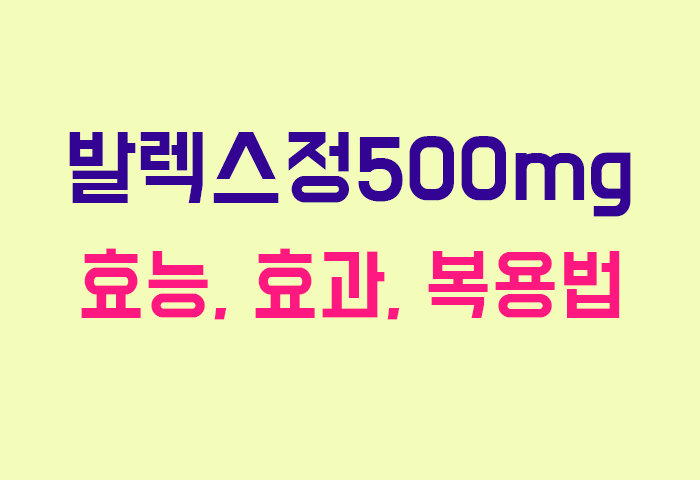 발렉스정500mg