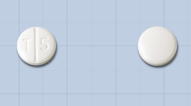 보령토르세미드정5mg 약