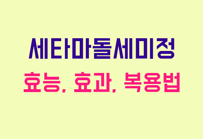 세타마돌세미정