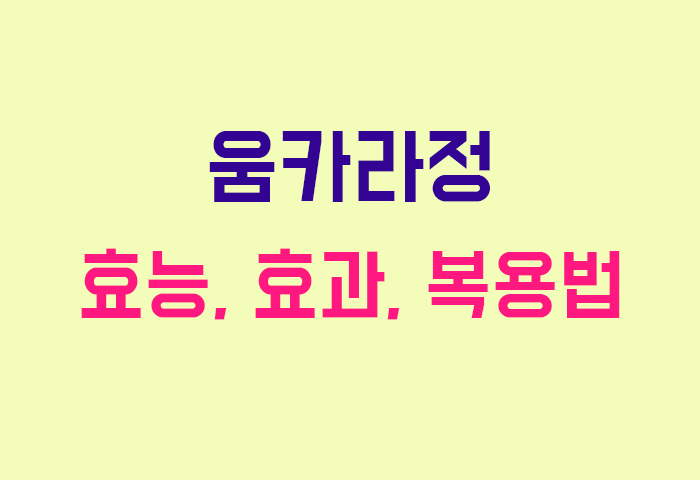 움카라정