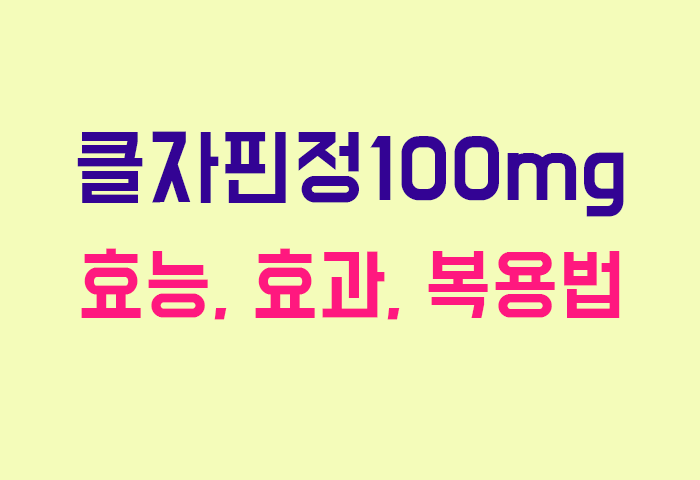 클자핀정100mg