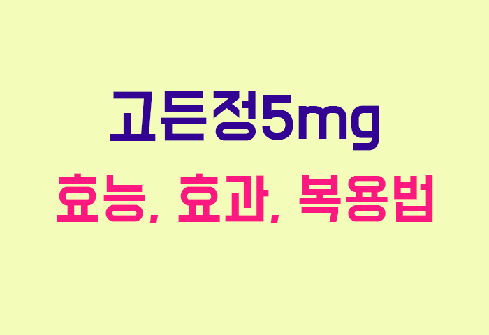 고든정5mg