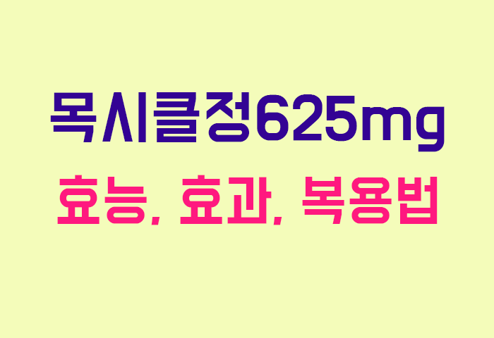 목시클정625mg