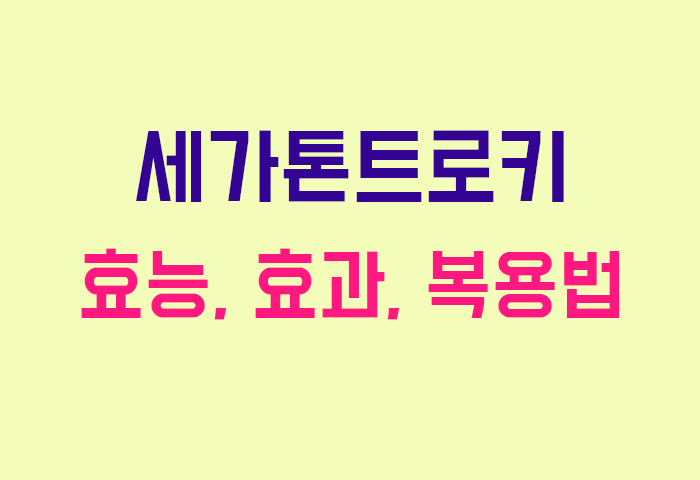 세가톤트로키