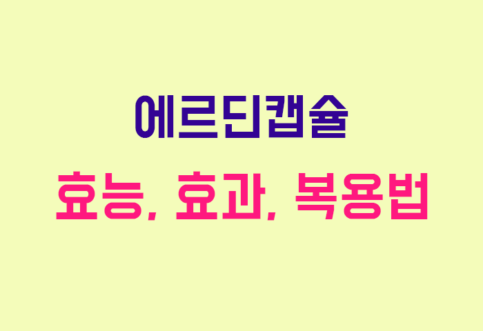 에르딘캡슐