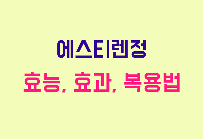 에스티렌정