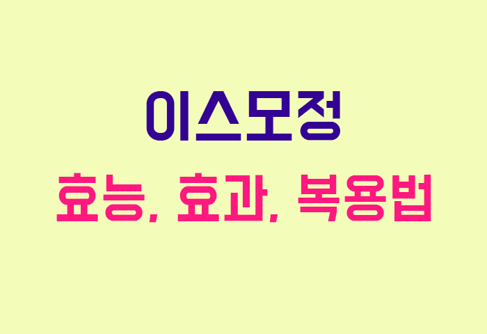 이스모정