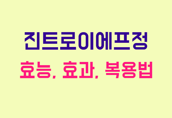 진트로이에프정