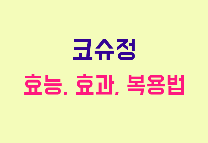 코슈정