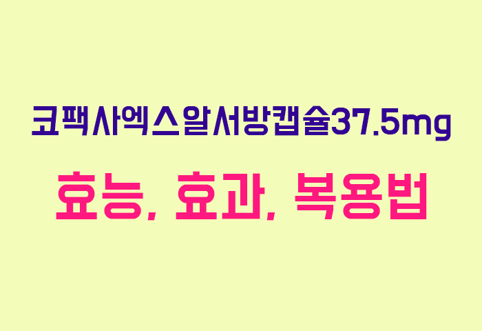 코팩사엑스알서방캡슐37.5mg