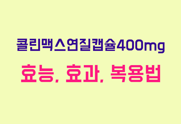 콜린맥스연질캡슐400mg