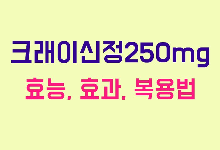 크래이신정250mg