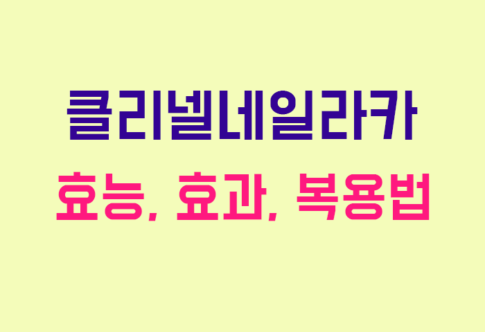 클리넬네일라카