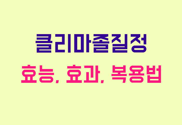클리마졸질정