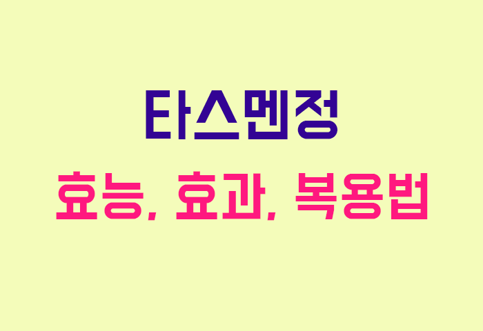 타스멘정