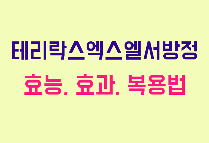 테리락스엑스엘서방정