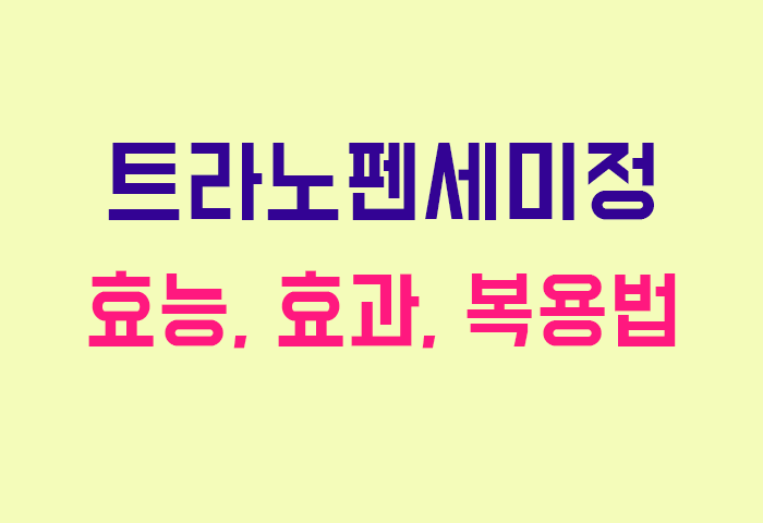 트라노펜세미정