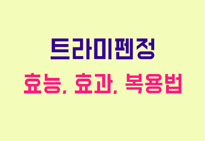 트라미펜정