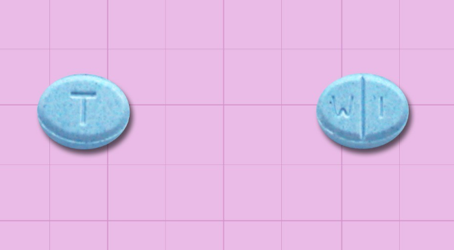 트리람정0.25mg 약