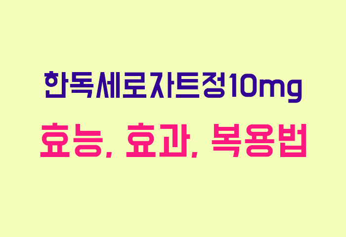 한독세로자트정10mg