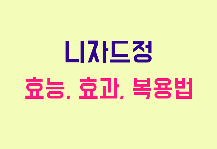 니자드정