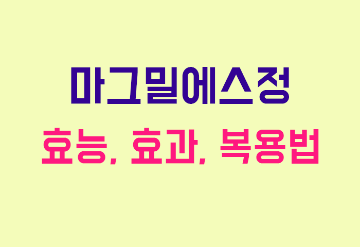 마그밀에스정