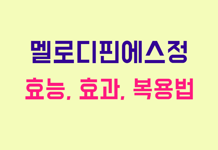 멜로디핀에스정