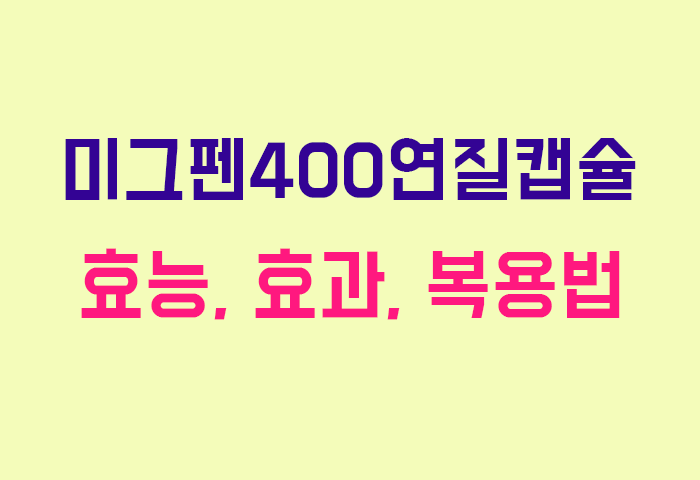 미그펜400연질캡슐