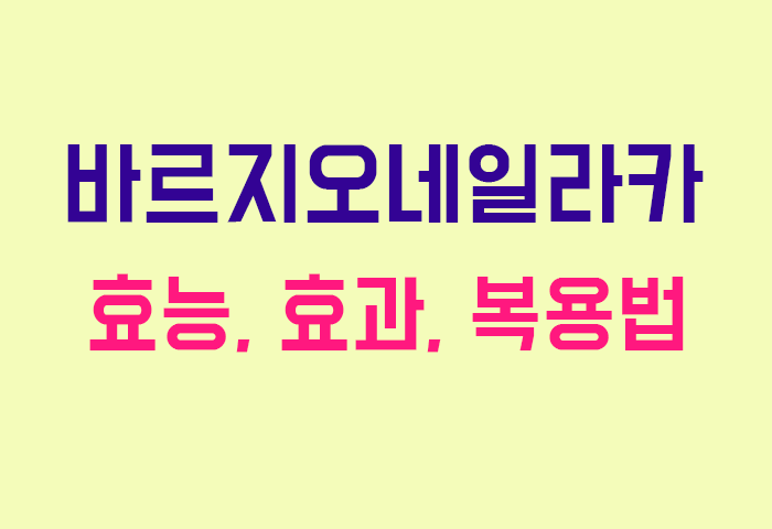 바르지오네일라카