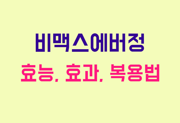 비맥스에버정