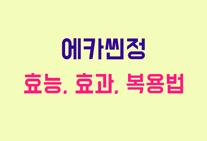 에카씬정