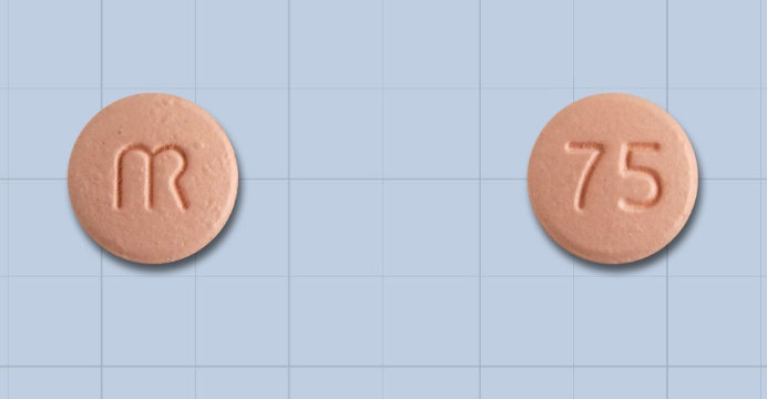 엘피도그렐정 약