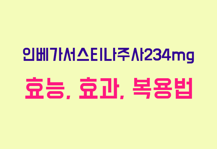 인베가서스티나주사234mg