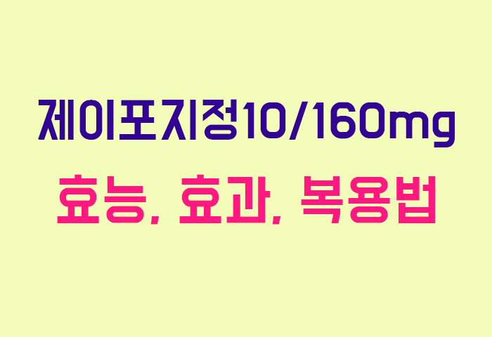 제이포지정10/160mg