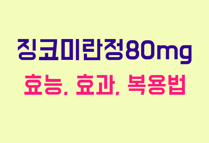 징코미란정80mg