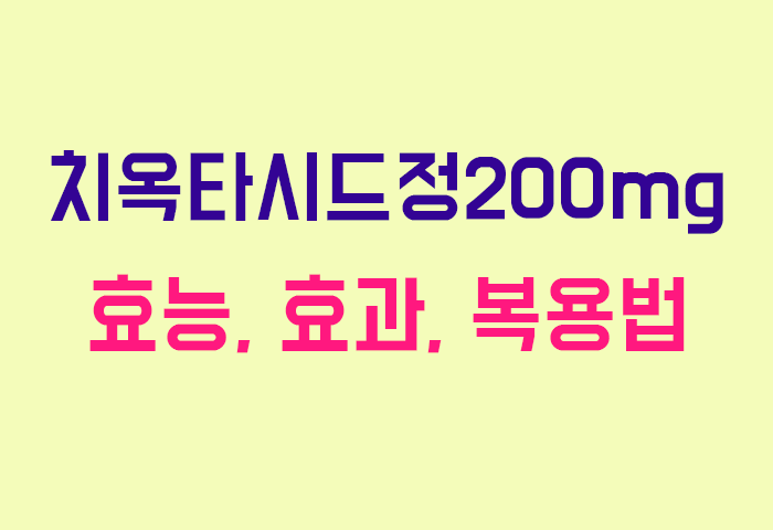 치옥타시드정200mg
