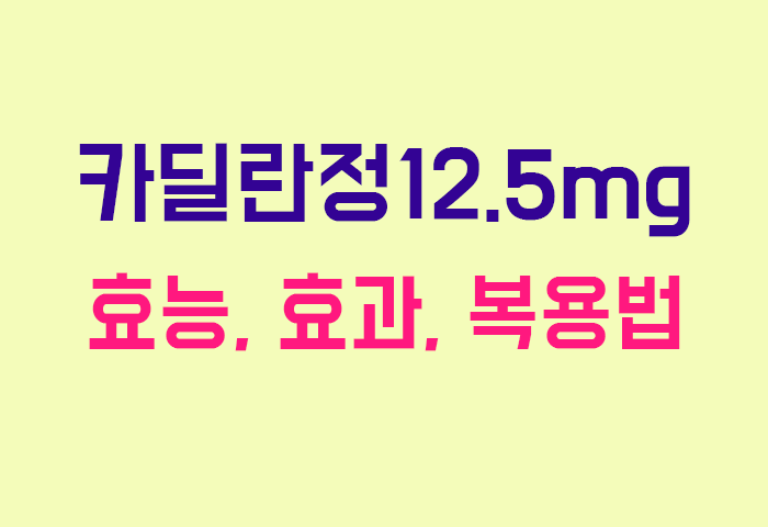 카딜란정12.5mg