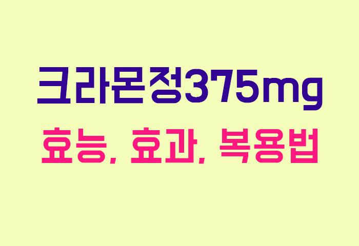 크라몬정375mg