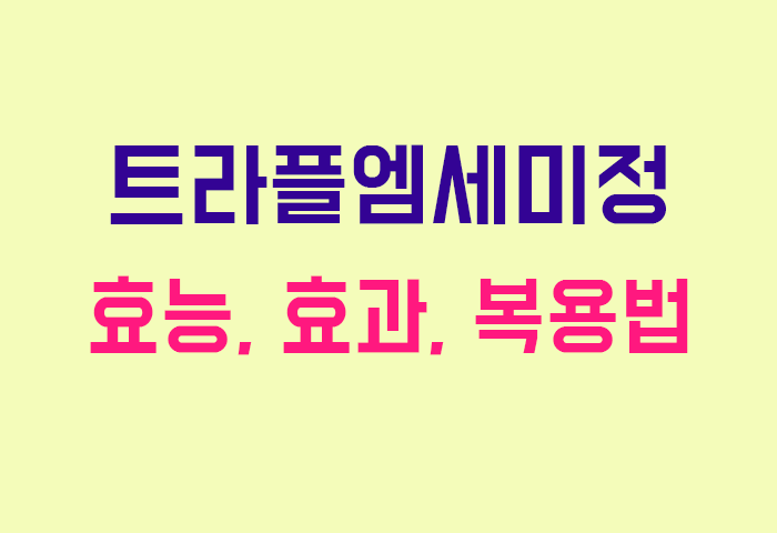 트라플엠세미정