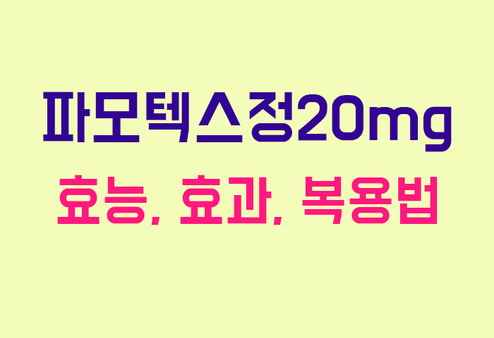 파모텍스정20mg