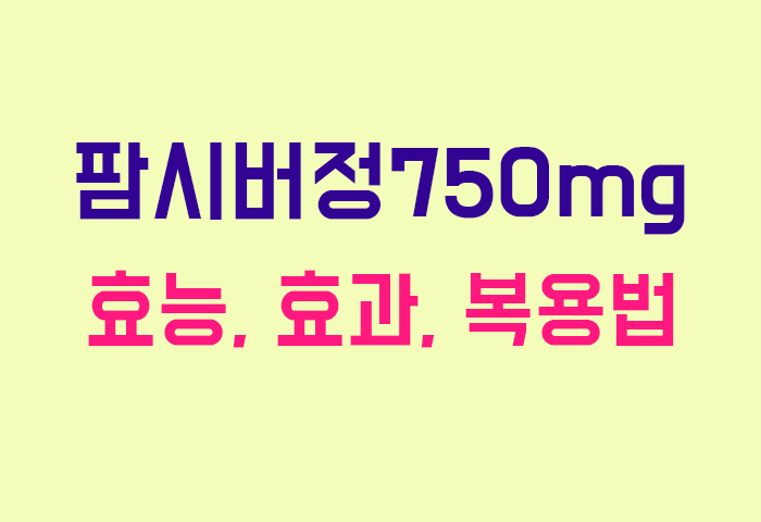 팜시버정750mg