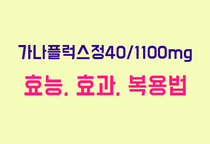 가나플럭스정40/1100mg