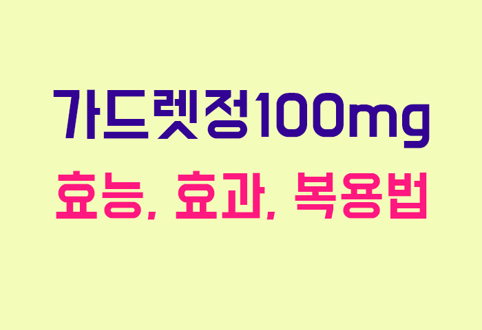 가드렛정100mg