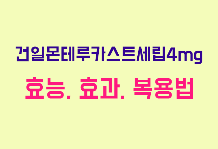 건일몬테루카스트세립4mg