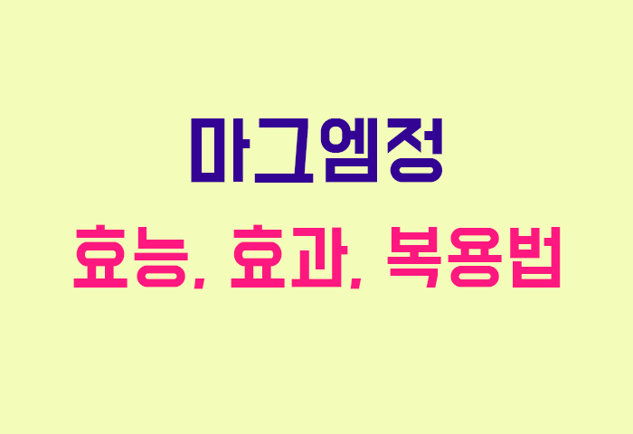 마그엠정